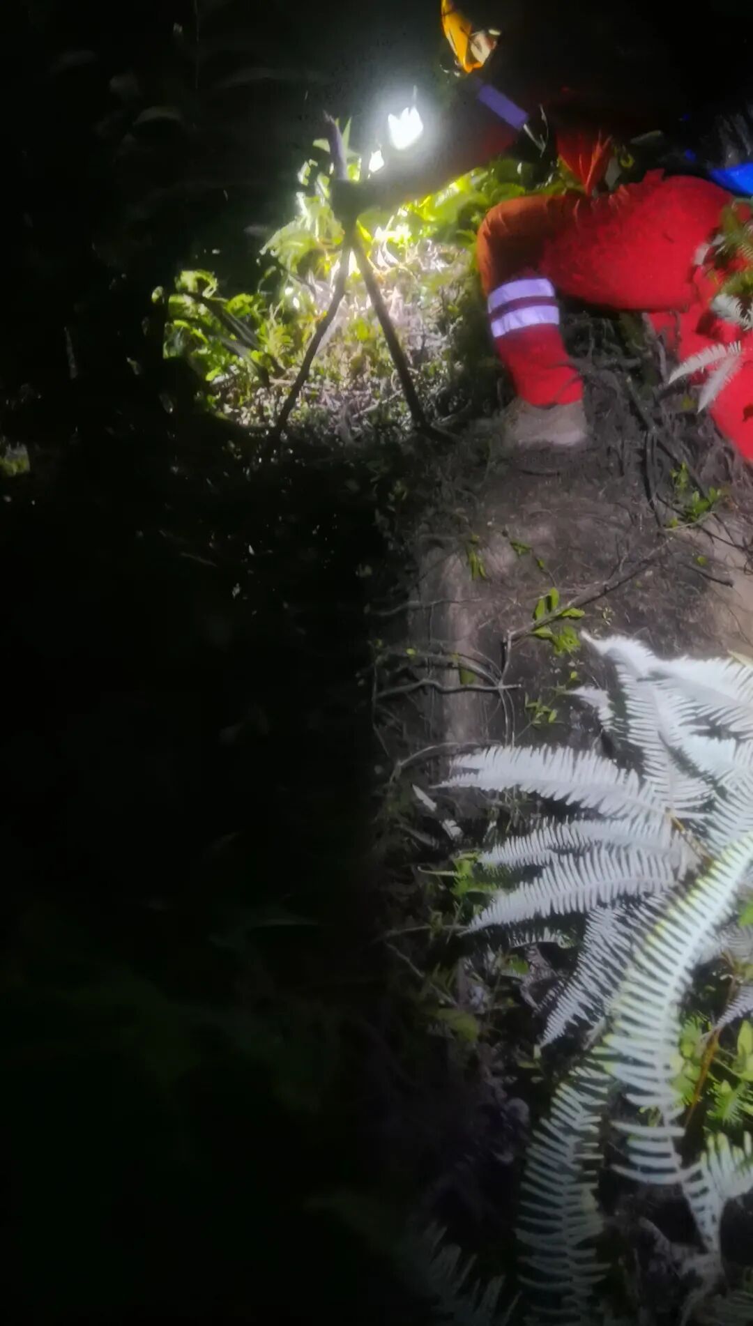 tenan, 到了他, src tenan, 到了他, src