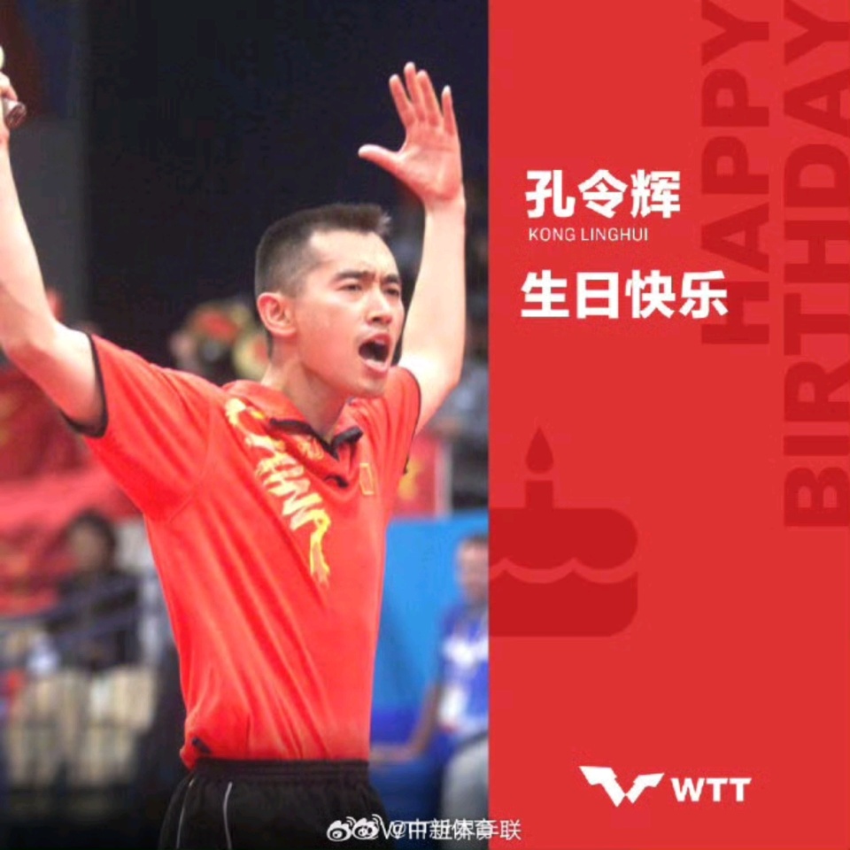 退役, 国乒协暂停